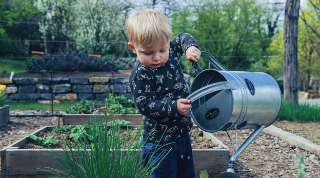 Why should you have a garden in your home?