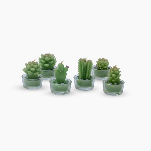 Cactus Flower Candles(pack of 6)